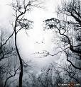 Picture for song '#217-Haven't Seen You Face (2000)' by artist 'Rob Lincoln'