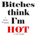 Picture for song 'B*TCH I'm Hot' by artist 'RocketmanBeats'