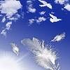 Picture for song 'The Irie Sky' by artist 'Rodney Roach'