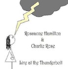 Picture for song '07 Pointless Apology' by artist 'Rossanne Hamilton'