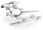 Picture for song 'Rat Race instrumental' by artist 'Sample Free Beats'