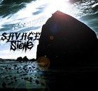 Picture for song 'stone' by artist 'SAVAGEofficial'
