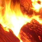 Picture for song 'This Love Can't Be Lost' by artist 'Scribe And Sage'