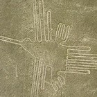 Picture for song 'The Nazca Lines' by artist 'Scuzzo'