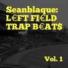 Picture for song 'It's Ok (If You Want My Trap)' by artist 'Seanblaque'