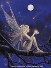 Picture for song 'CATCH A STAR' by artist 'SEAN CHRIST'