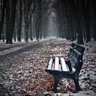 Picture for song 'Almost November' by artist 'Sean Original'