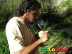 Picture for song 'FeloMan: Quisiera Abrazarte' by artist 'Sello Suicida Recordings'