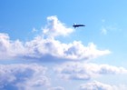 Picture for song 'To the Sky' by artist 'Serge Loud'
