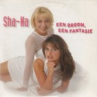 Picture for song '18) Een droom, een fantasie' by artist 'ShaNaMusic'
