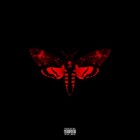 Picture for song 'The Playmaker' by artist 'Shane Narko'