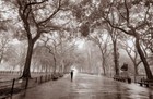 Picture for song 'After The Rain' by artist 'Sheldon Riddle'