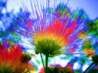 Picture for song 'FLOWERS 1993' by artist 'singular'
