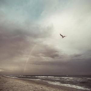 Picture for song 'Catch The Moment' by artist 'SKVRLET OCEVN'