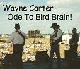 Picture for song 'ODE TO BIRD BRAIN - Wayne Carter' by artist 'Spud Martin sample'