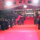 Picture for song 'Red Carpet' by artist 'Star Tanner Productions'