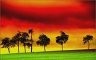 Picture for song 'missing' by artist 'Stems'