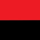 Picture for song 'Ne plach za nas ne plach' by artist 'Stepan Pasicznyk'