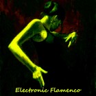 Picture for song 'Electronic Flamenco' by artist 'Stereo2tape'