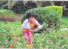Picture for song 'One Child (Original Version)' by artist 'Steve Pasakarnis'