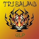 Picture for song 'GLP_Tribaland_InstrMix' by artist 'Stex'