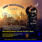 Picture for song 'Knockin' Down Do's' by artist 'S.T.R.Z.'
