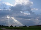 Picture for song 'Blue Skies' by artist 'Stu Miller'