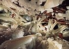 Picture for song 'subunder - crystalcavecrawl' by artist 'subunder'
