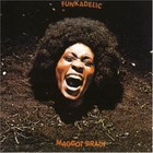 Picture for song 'MD and Swamps - Maggot Brain' by artist 'Swampman And The Machine'