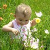 Picture for song 'Among the Wildflowers' by artist 'Synthetic Movements'