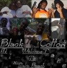 Picture for song 'I'll Be Back' by artist 'SyphoEnt'