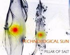 Picture for song 'Pillar of Salt' by artist 'Technological Sun'