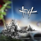 Picture for song '11 Intension' by artist 'text559'