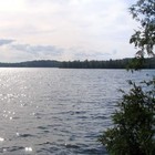 Picture for song 'Phone it in (im going to the lake)' by artist 'The Electric Cow Bell Project'