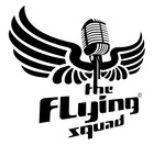 Picture for song 'Mission Reposition' by artist 'The Flying Squad'
