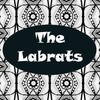 Picture for song 'Sunny Horizons' by artist 'The LabRats'
