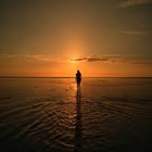 Picture for song '*$100 SALE* Lonely (FREE D/L)' by artist 'The Millionaire Music'