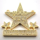 Picture for song 'Hood Star (NEW SH1T!!!)' by artist 'The Real Mic Savvy'