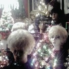 Picture for song '(Dancing With) The Black Predator' by artist 'the Solan Goose'