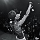 Picture for song 'Undefeated' by artist 'TheTrackAddictz'