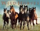 Picture for song 'Wild Horses' by artist 'The Vault - Selections from Our Scatalogue'