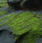 Picture for song 'The Yah'shua Project VII: Jeremiah's Journey' by artist 'The Well is Deep'