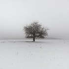 Picture for song 'Despair Reflections' by artist 'Thymele'