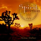 Picture for song 'SunCHill' by artist 'Tomas Walker'
