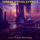 Picture for song 'Strange Inspiration' by artist 'Tom Slayton Effect'