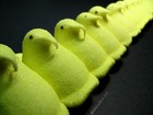 Picture for song 'silly peeps' by artist 'tony dane aka higgnbe'
