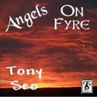 Picture for song 'Gabriels Reel' by artist 'Tony Seo'