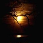 Picture for song 'All Through The Night' by artist 'Tony Watkins'