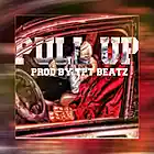 Picture for song 'PULL UP' by artist 'Tpt beatz'