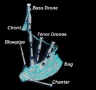 Picture for song 'Bagpipe Beat' by artist 'Trees Beats'